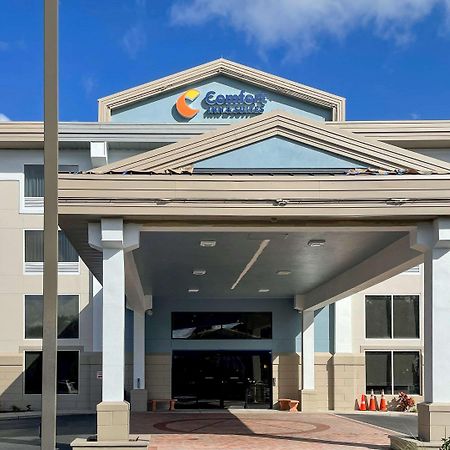 Comfort Inn & Suites Sarasota I75 The Meadows Esterno foto